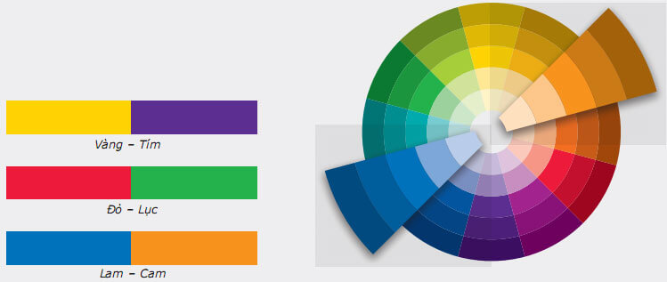 phối màu cho áo raglan