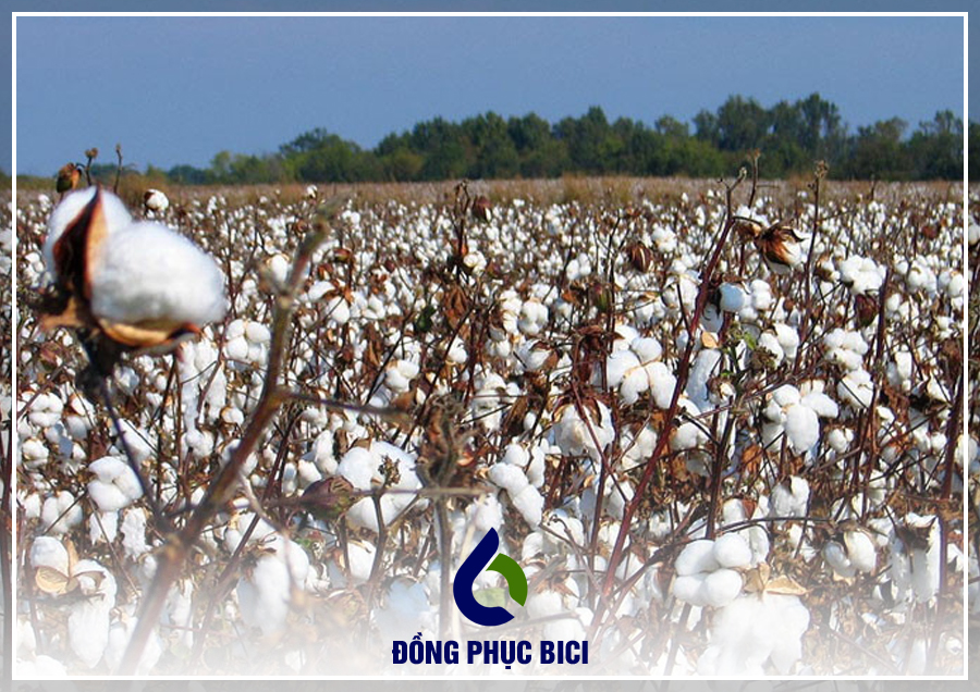 cách nhận biết các loại vải quần áo dựa vào nguồn gốc vải cách nhận biết các loại vải quần áo dựa vào nguồn gốc vải