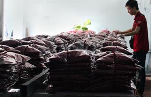 Áo thun Hạnh phúc Quảng Trị